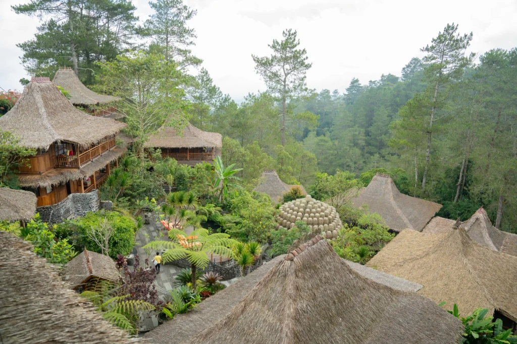 viewpoint tira vilanga