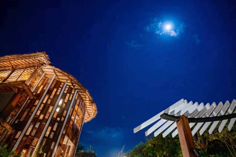 250609_PiB_BJH00207_result