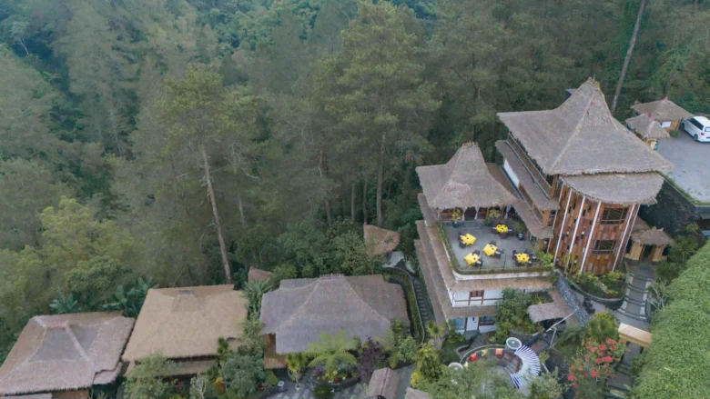 DJI_20250722155117_0790_D_PIB_result