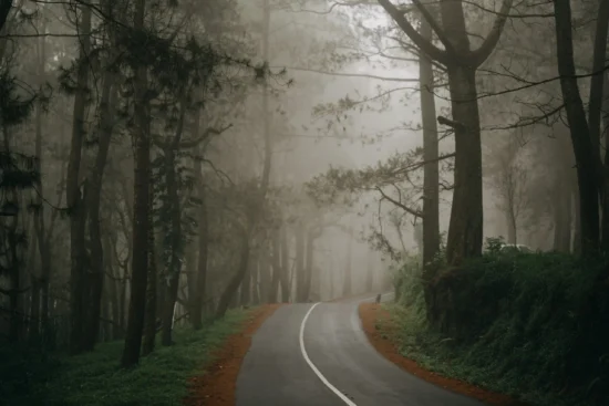 Pinus Forest Glagalinggah