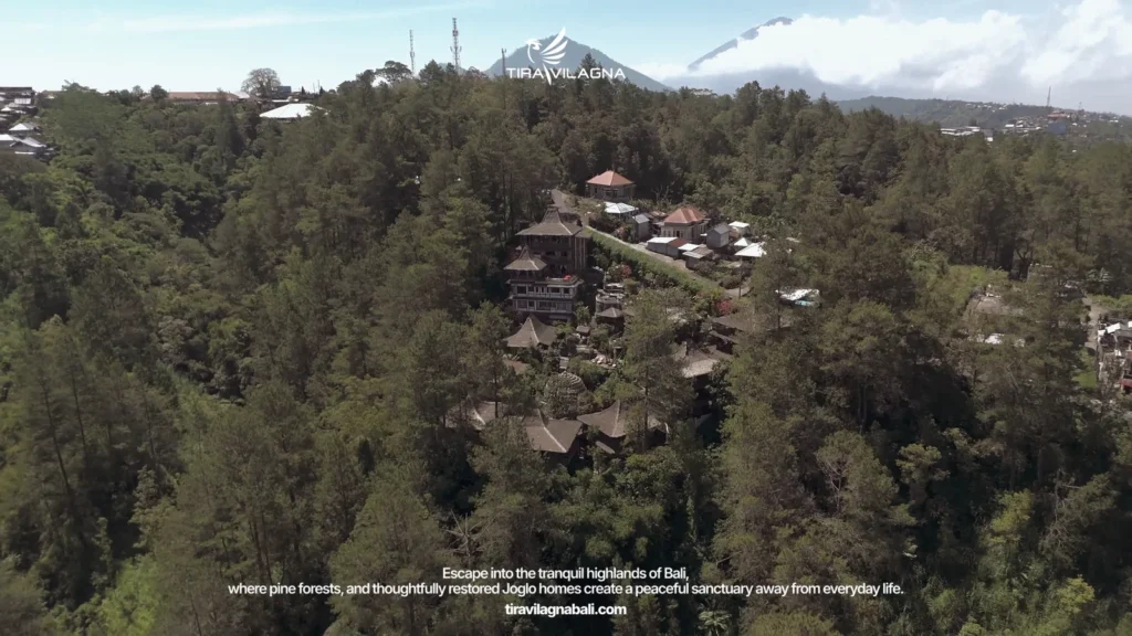 Bali August travel guide planned from a quiet Kintamani highland base