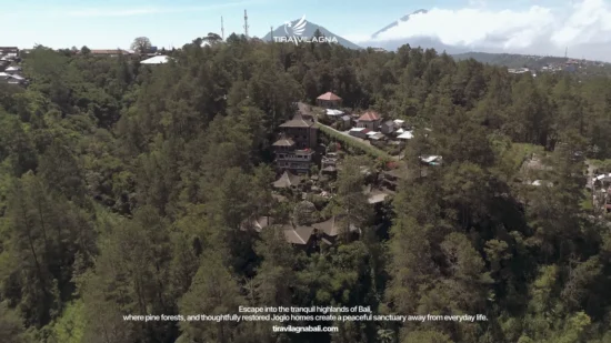 Aerial view of Tira Vilagna in the Kintamani pine forest